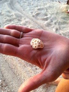 The Treasure you Find Walking on the Beach... nude.