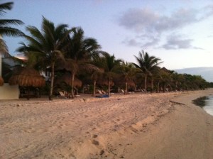 The shoreline at Hidden Beach Resort